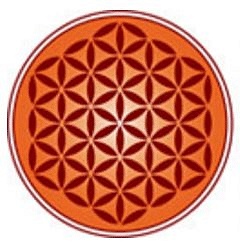 Vedica Scholars Programme for Women - [VSPW]