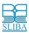 Som Lalit Institute of Business Administration - [SLIBA]