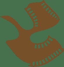 Satyajit Ray Film and Television Institute - [SRFTI]