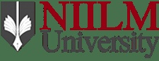NIILM University