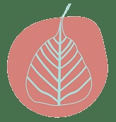 Indian Institute of Design - [IID]