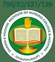 Shamm-E-Husaini Institute of Nursing College