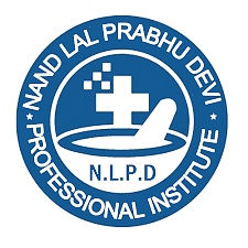 Nandlal Prabhu Devi Professional Institute