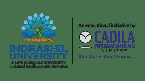 Indrashil University Rajpur