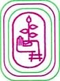 Smt KSN Kansagara College